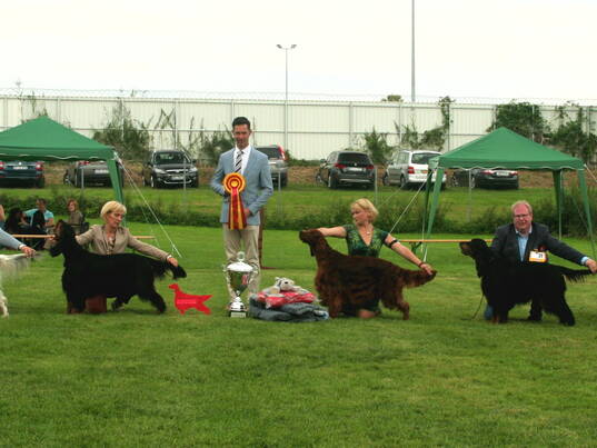 Best in Show 2017 - VDS Open Air Show