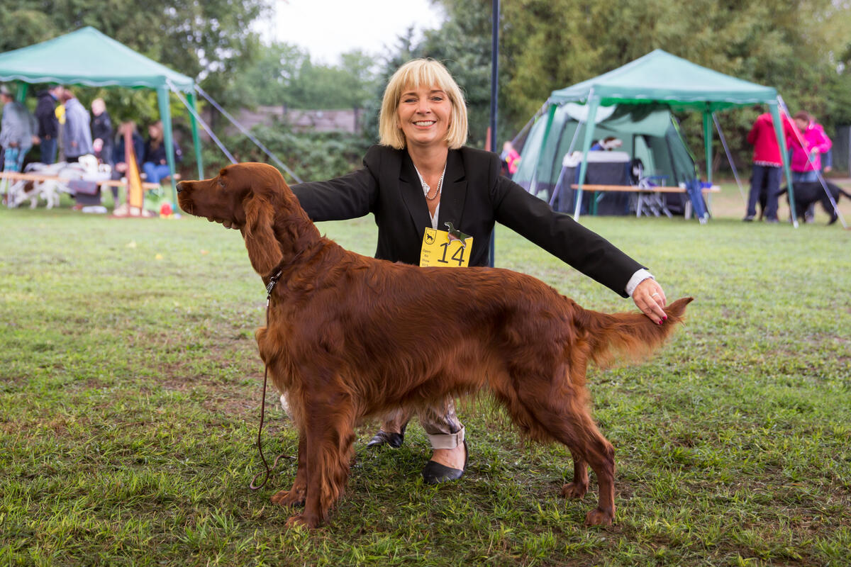 Beste Hündin Irish Setter - Garden Star's Irish Wendy