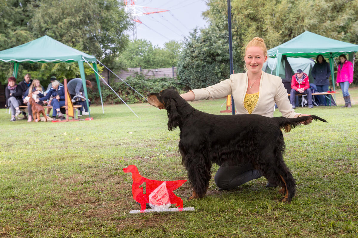 Beste Hündin Gordon-Setter - Royal Gordons Born Appia