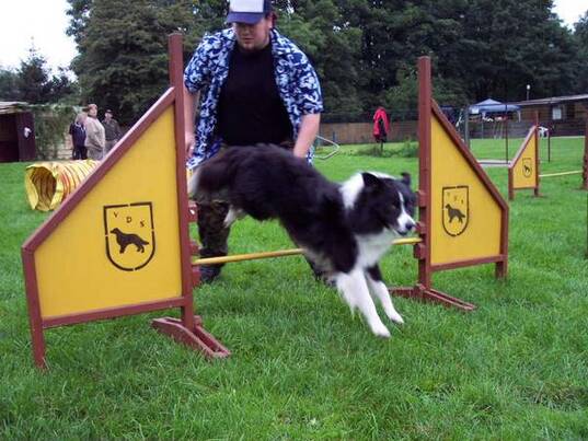 Agility Training: Kevin mit Leo (Border Collie)