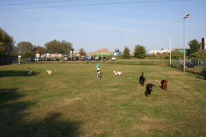 Hundeplatz Verein der Setterfreunde e.V.