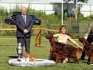 Verein der Setterfreunde VDS e. V.