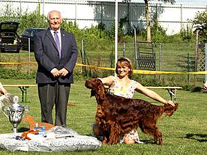 Verein der Setterfreunde VDS e. V. - VDS-Open-Air-Show 2016